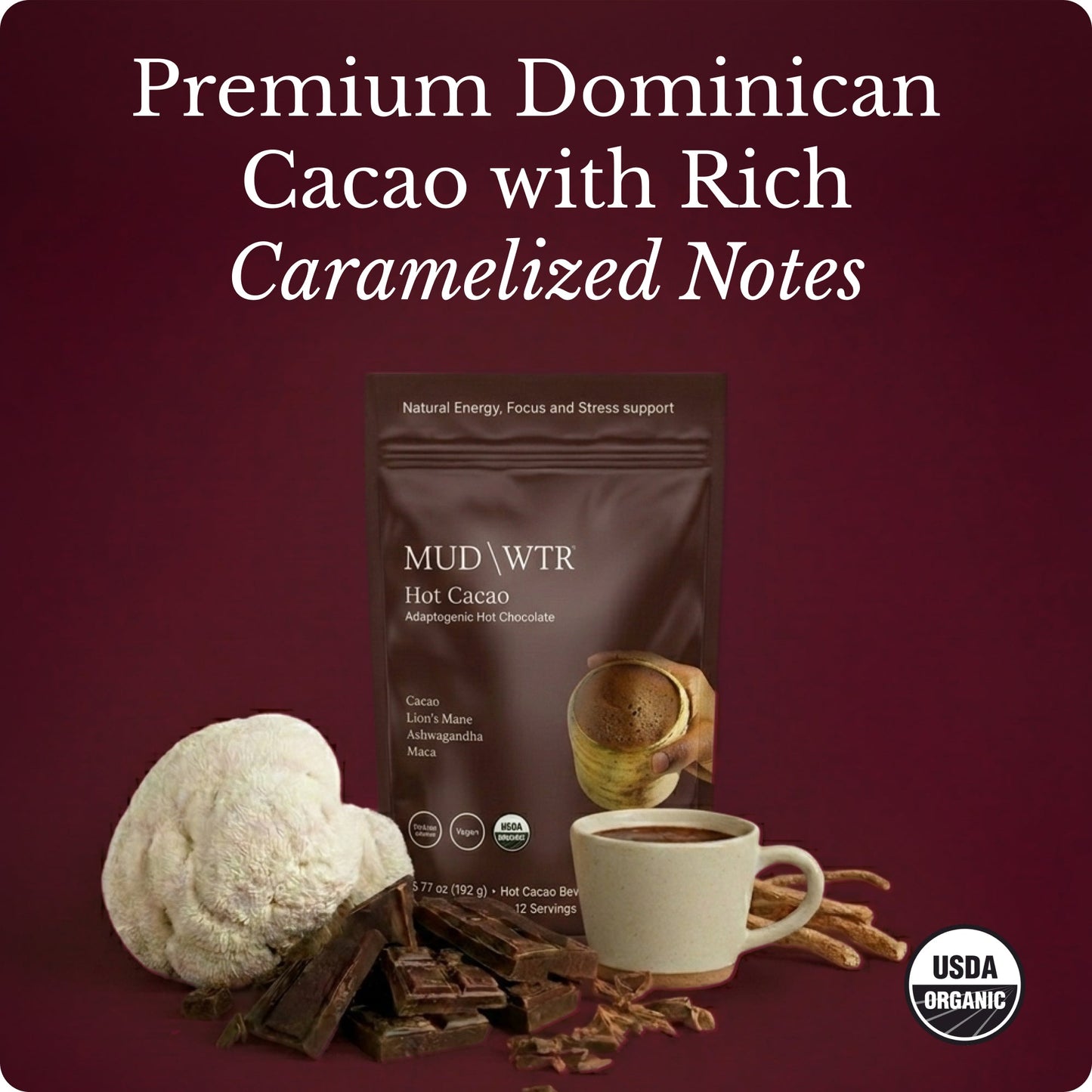 hot-chocolate-s1 Hot_Chocolate_Image_01.jpg