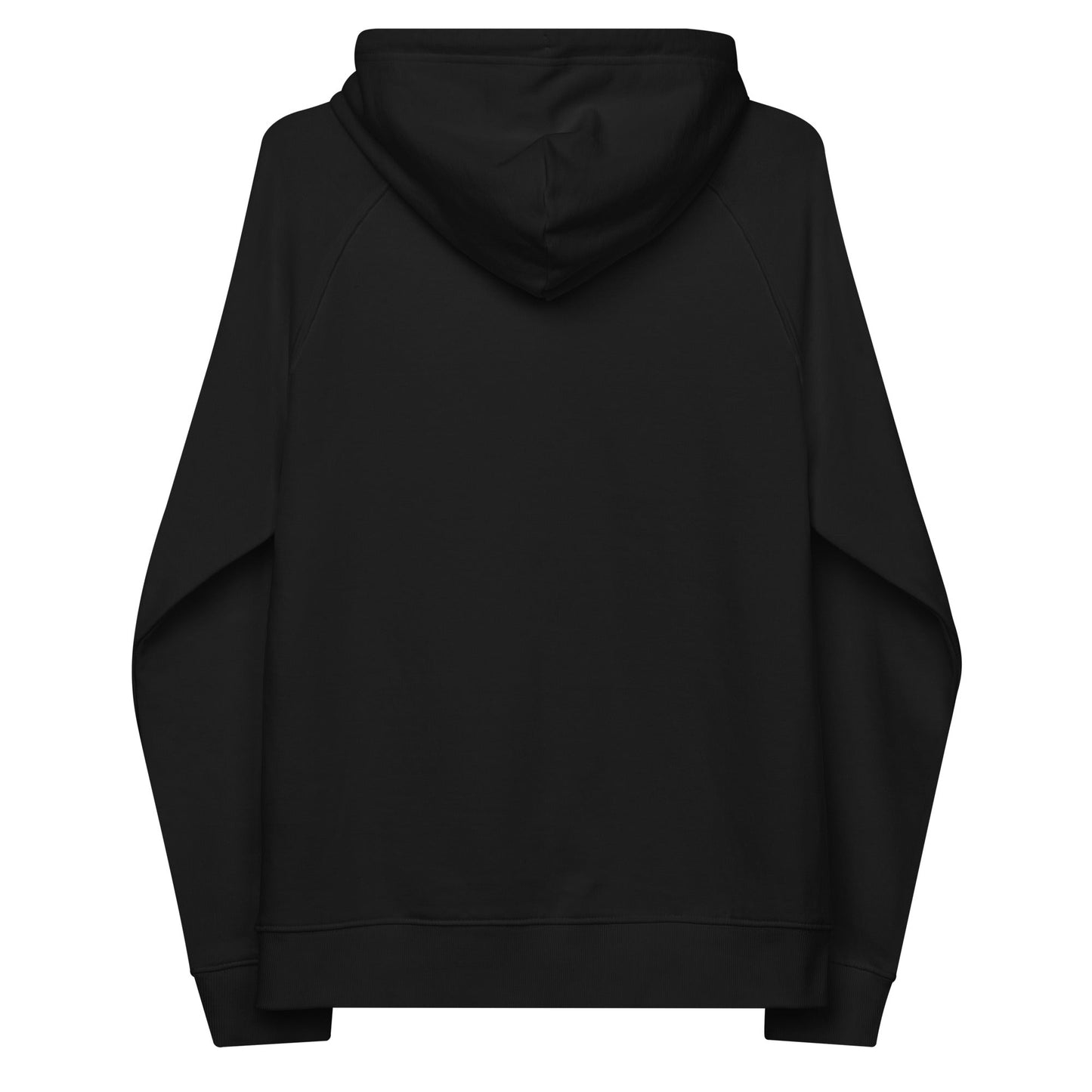 unlearn-relearn-hoodie-a0 unisex-eco-raglan-hoodie-black-back-647547b169f25.jpg