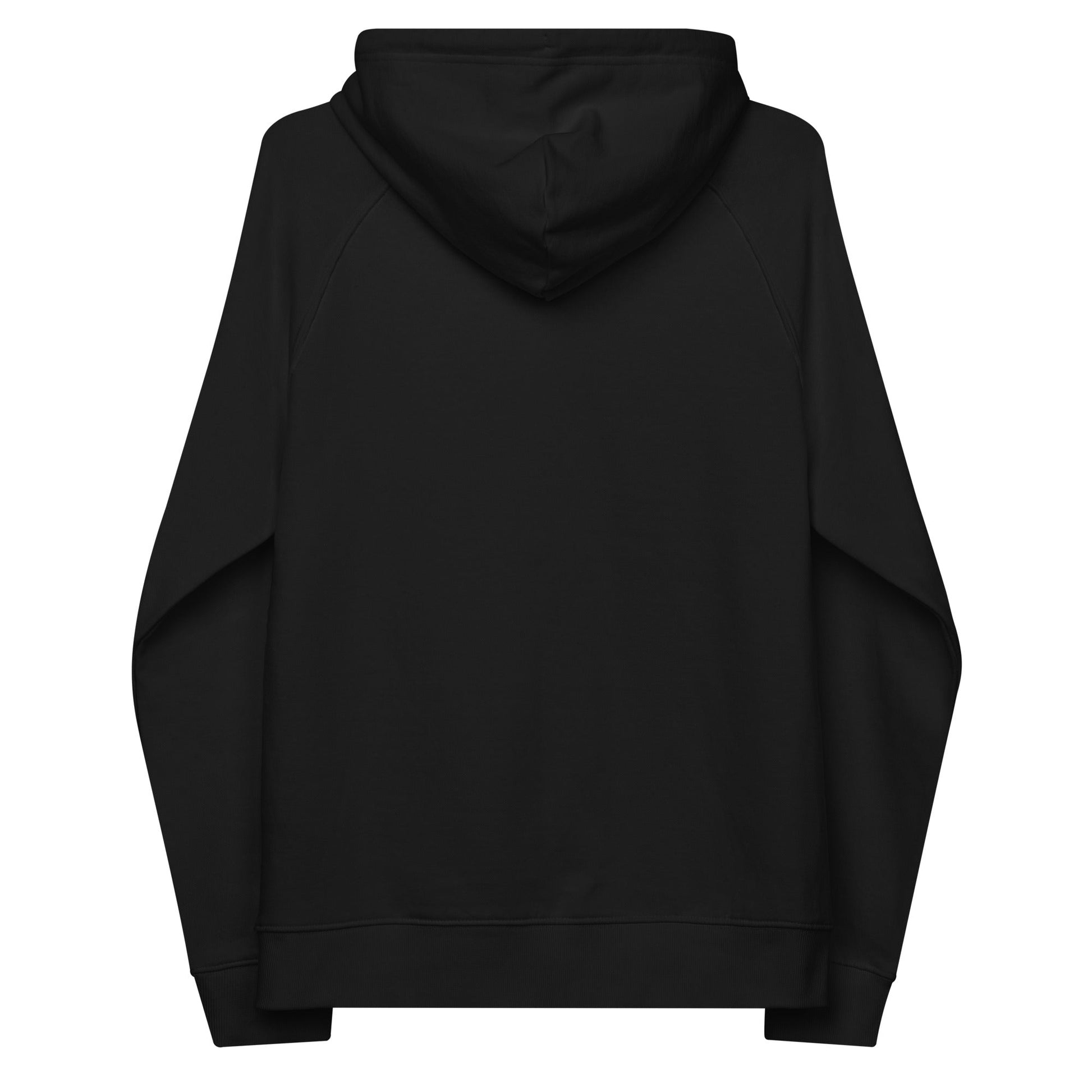 unlearn-relearn-hoodie-a0 unisex-eco-raglan-hoodie-black-back-647547b169f25.jpg